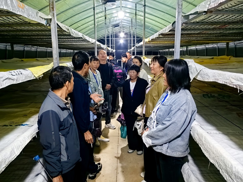 9月26日 到松梅村观摩学习大棚养蚕.jpg